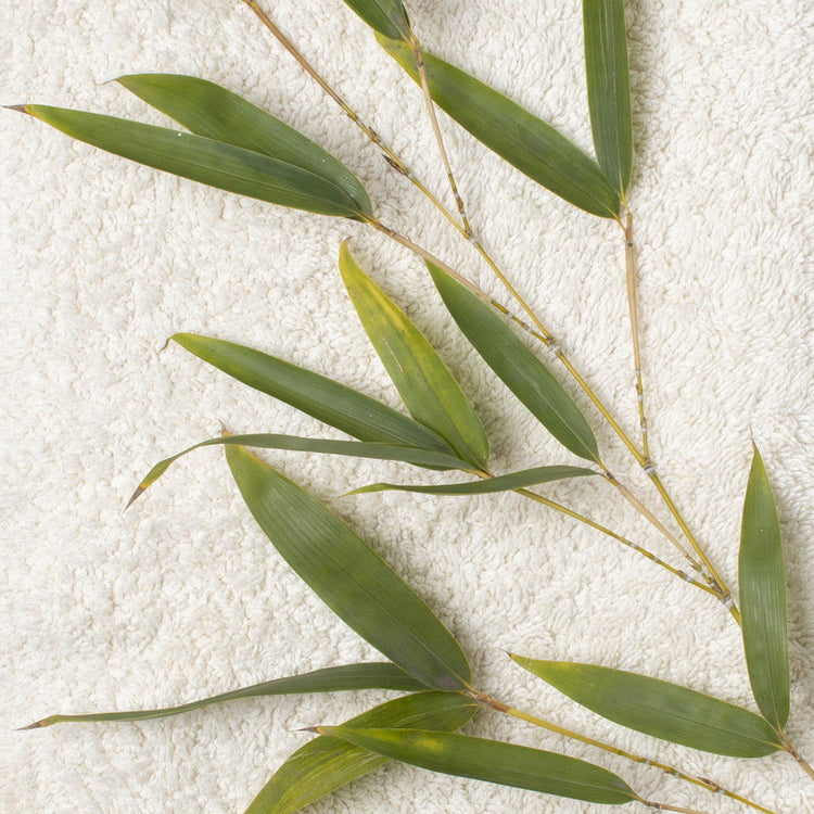 Literie bébé Bambou -