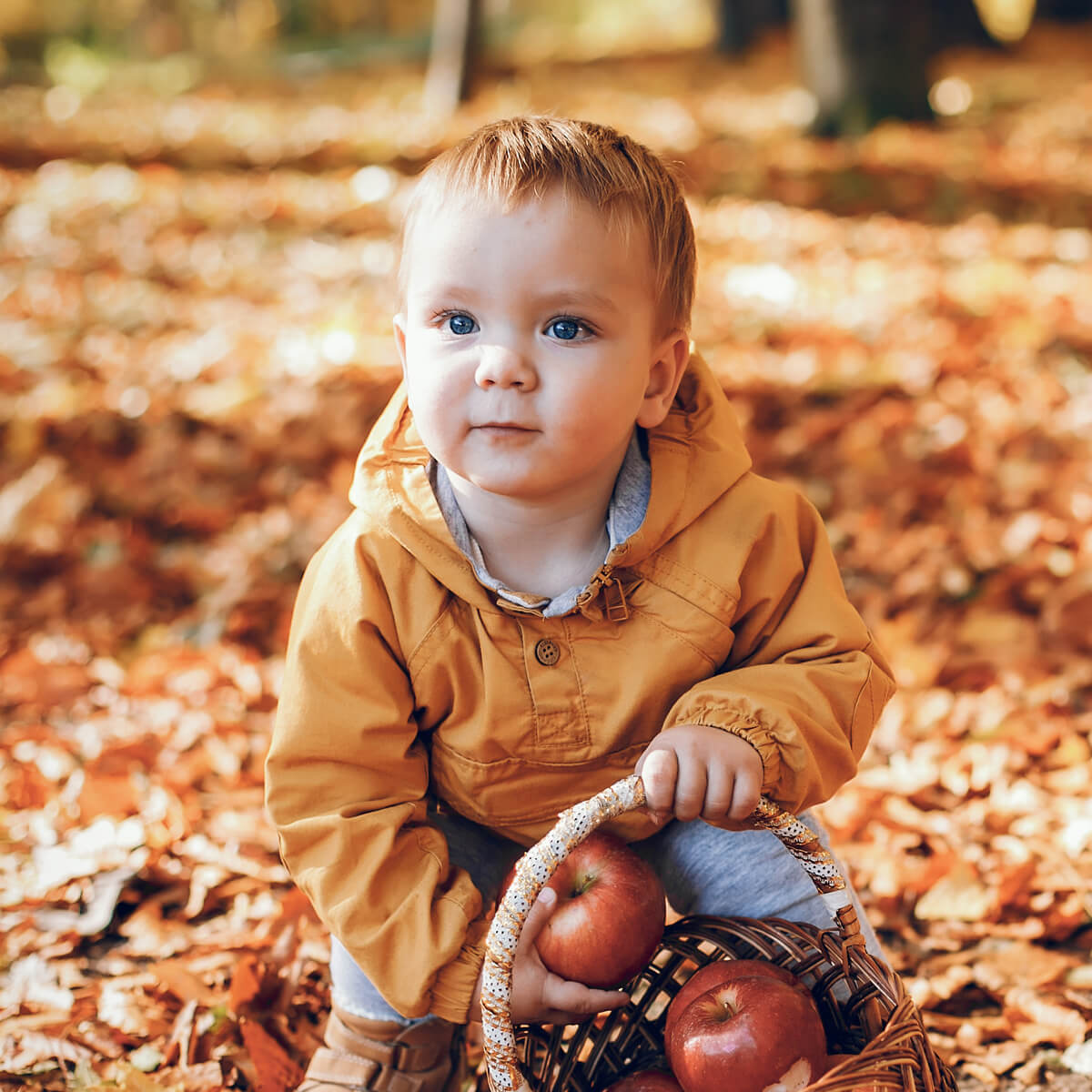 Bébé en automne - BB Malin