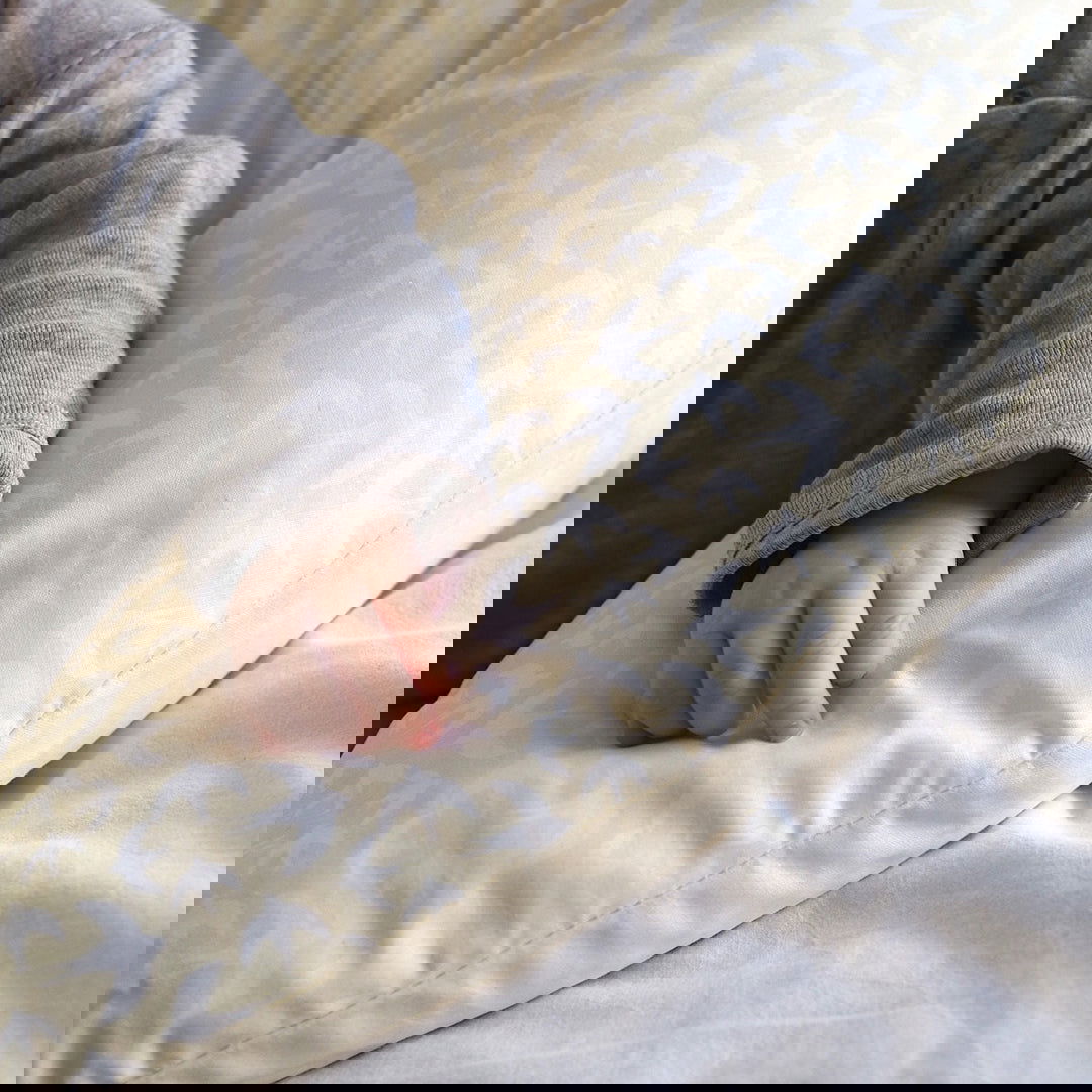 Coussin d'allaitement 110x53 cm - Oiseaux + Sable - 