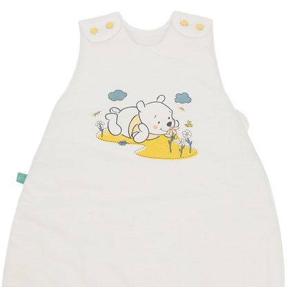 Gigoteuse hiver 0-6 mois 65 cm en Coton - Gigoteuse TOG 4 - Winnie Hunny Time