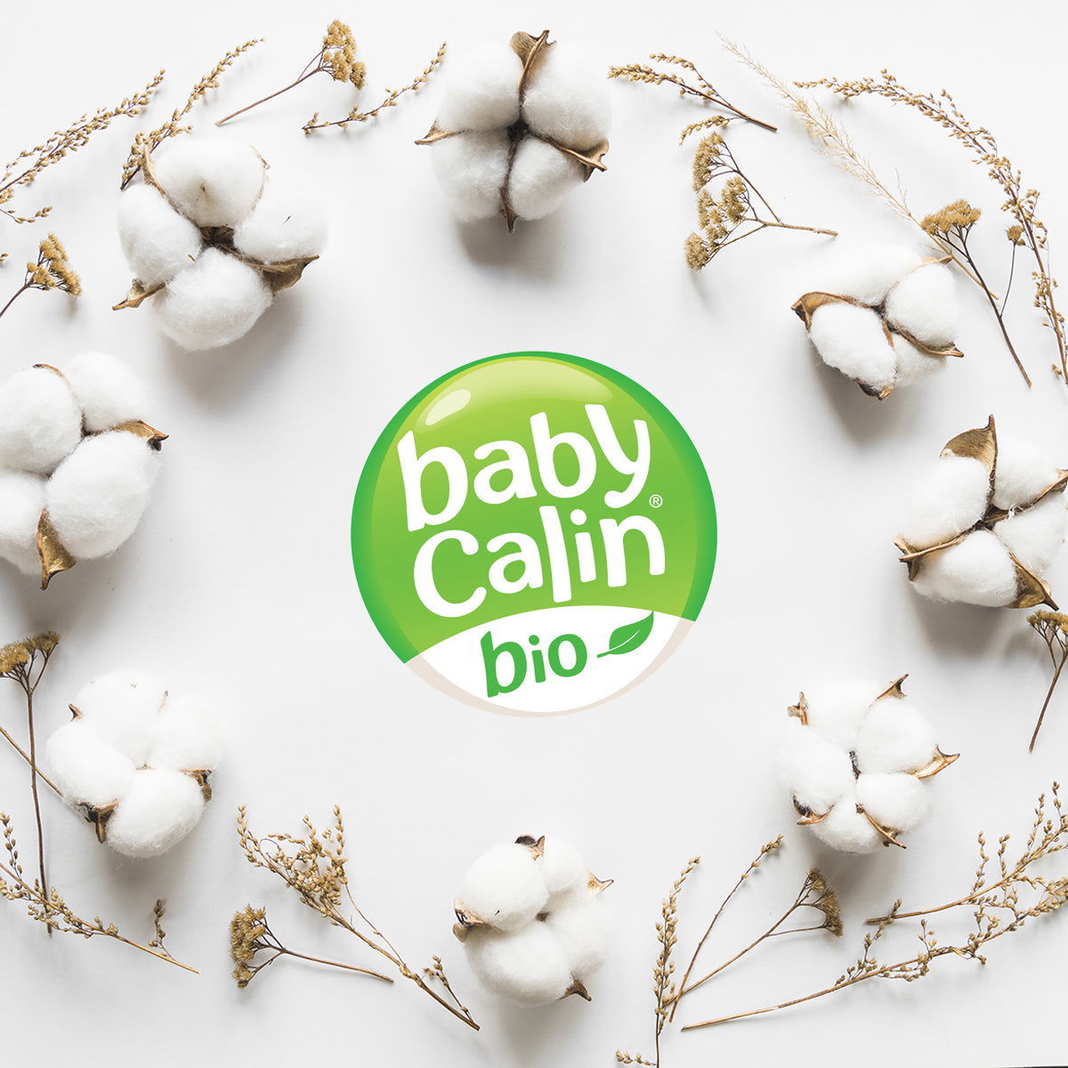 Lot de 3 bavoirs bio Jeune Pousse - naissance - BB Malin