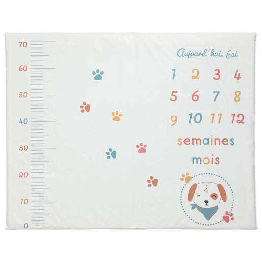Tapis de jeu en PVC 72x92 cm avec étapes bébé - Toutou - Babycalin